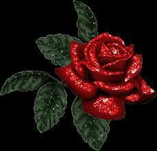 floarea preferata rosu care iubirea...