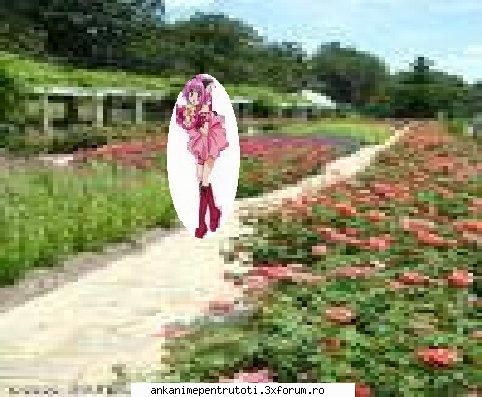 gradina plina cu flori - zoey statea si se juca in gradina - Gradina